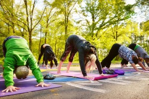 downward-dogs